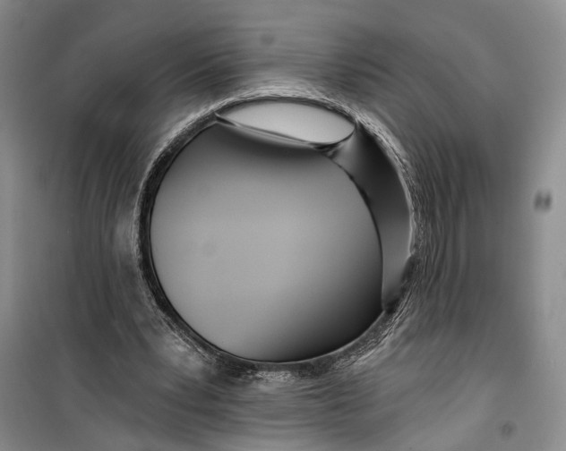 X0000099440391200805301455