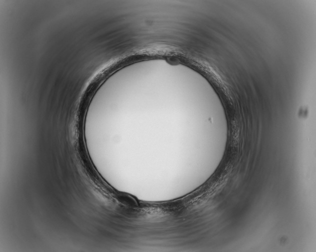 X0000099440392200805301455