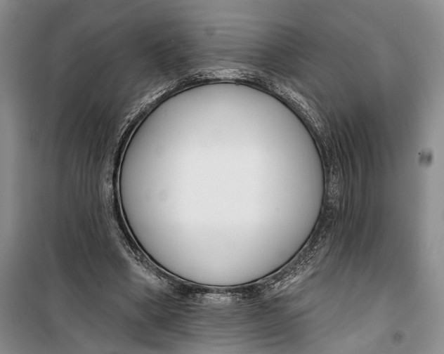 X0000099440394200805301455