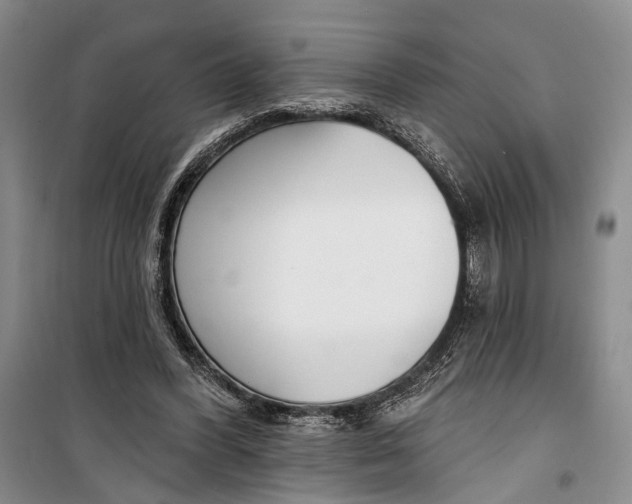 X0000099440396200805301455