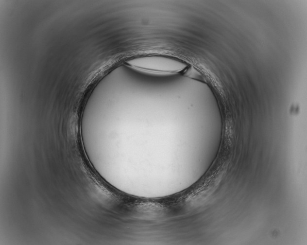 X0000099440397200805301455