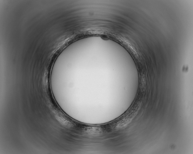 X0000099440398200805301455