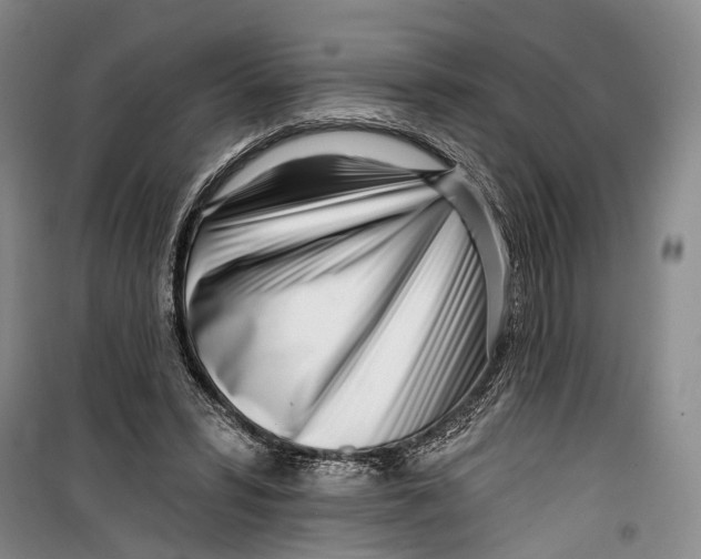 X0000099440399200805301455