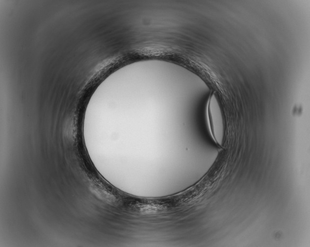 X0000099440400200805301455