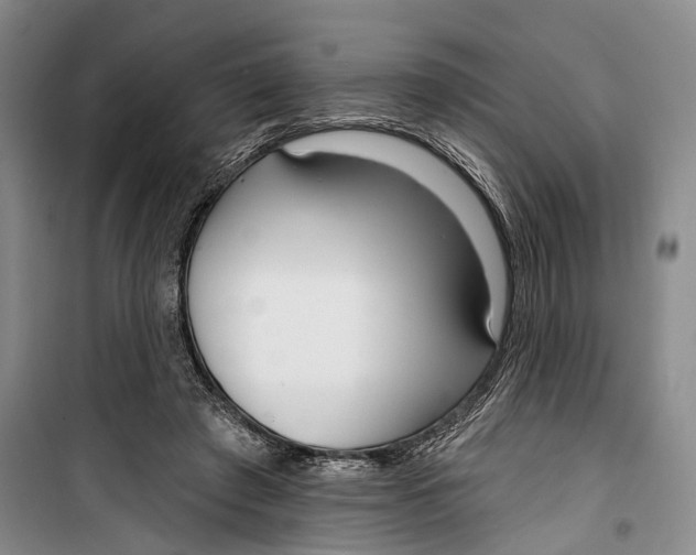 X0000099440401200805301455