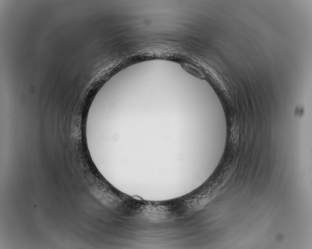 X0000099440403200805301455