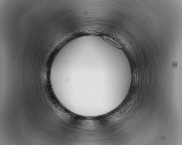 X0000099440404200805301455