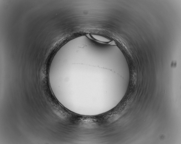 X0000099440407200805301455