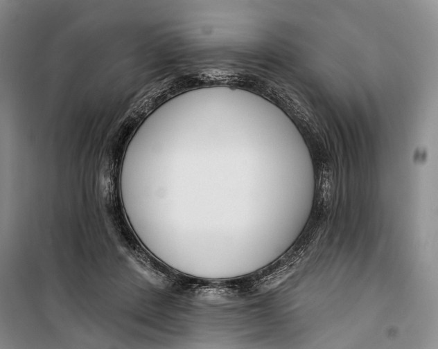 X0000099440408200805301455