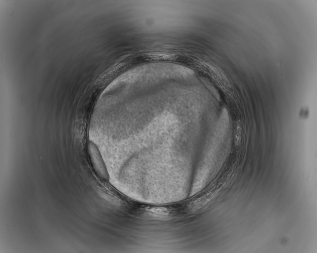 X0000099440409200805301455