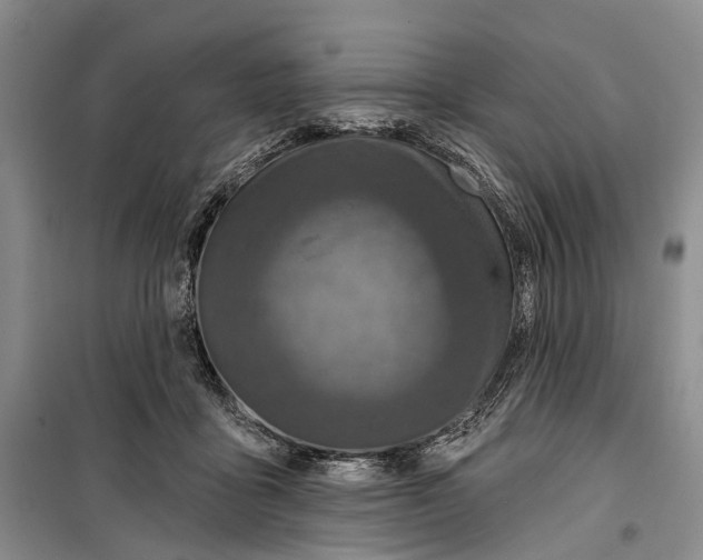 X0000099440411200805301455