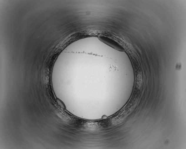 X0000099440413200805301455