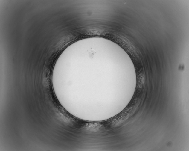 X0000099440414200805301455