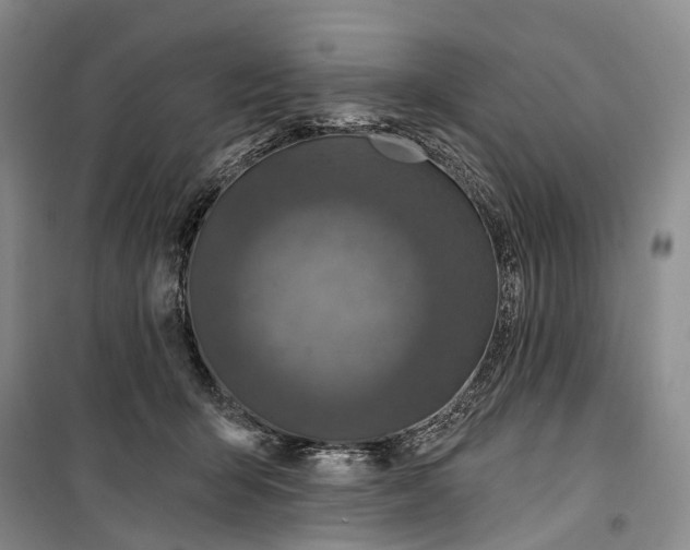 X0000099440415200805301455