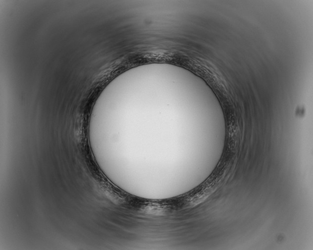 X0000099440416200805301455