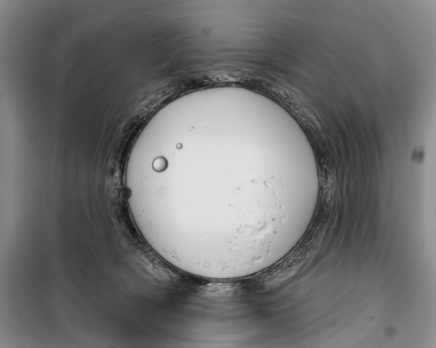 X0000099440418200805301455