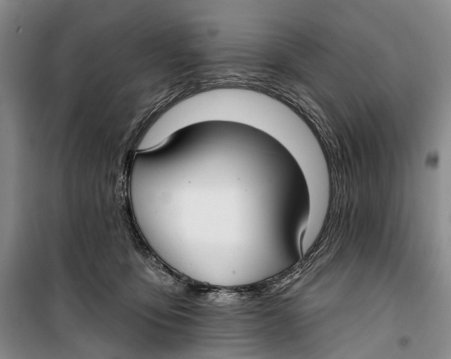 X0000099440419200805301455