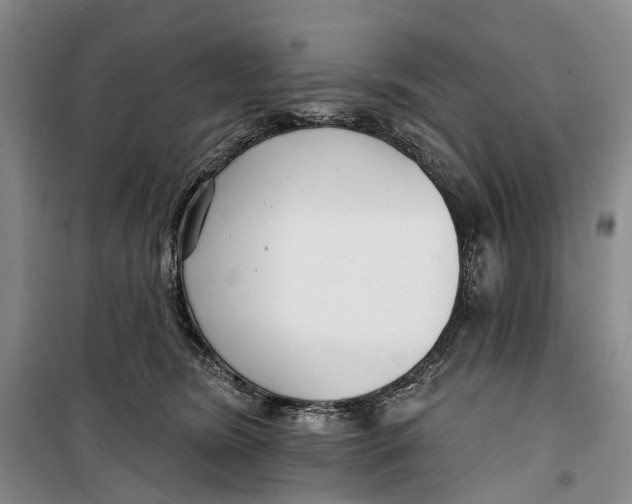 X0000099440420200805301455