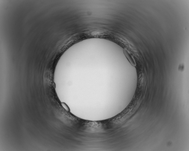 X0000099440421200805301455