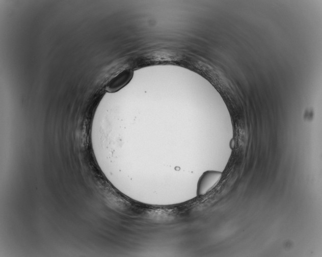 X0000099440422200805301455