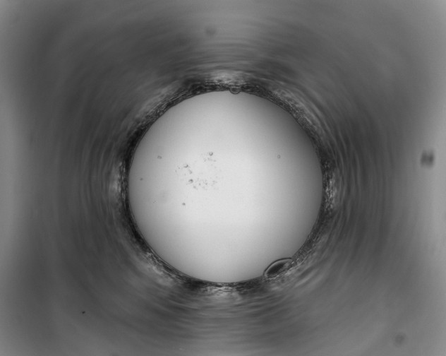 X0000099440424200805301455