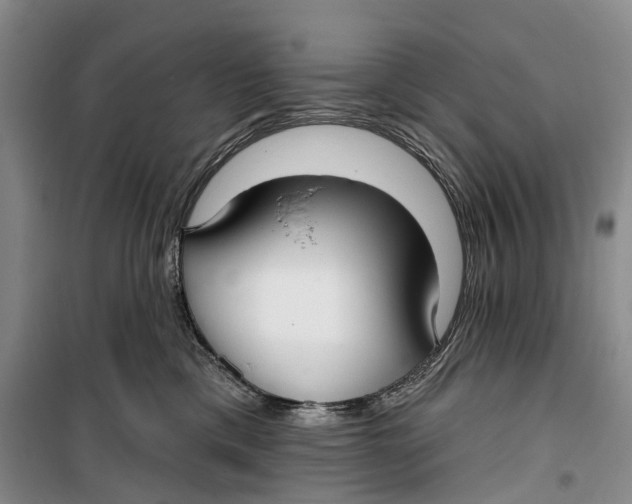 X0000099440425200805301455