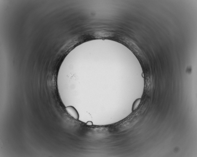 X0000099440426200805301455