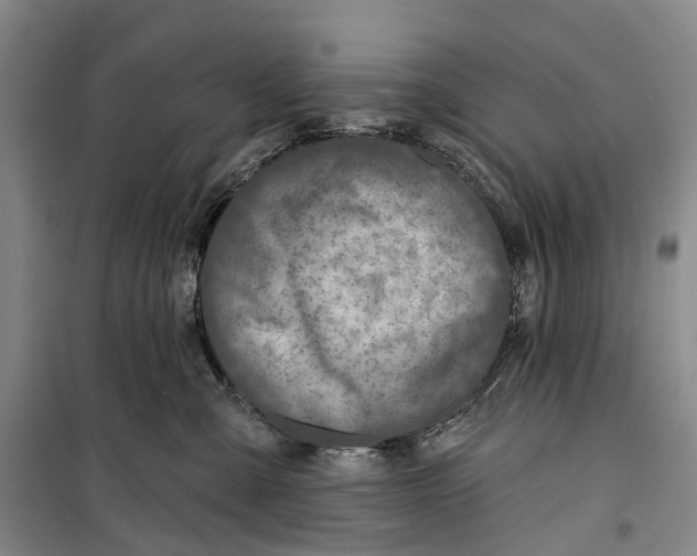 X0000099440427200805301455