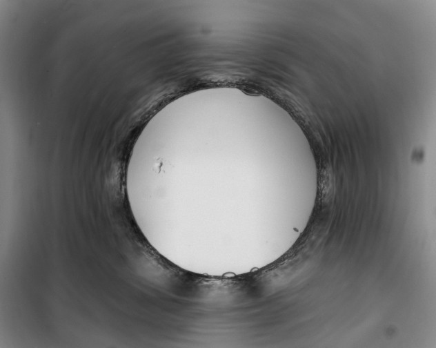 X0000099440428200805301455