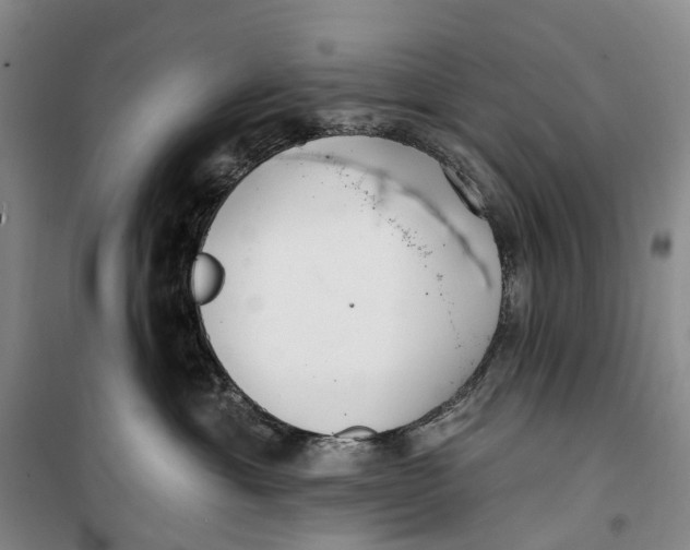 X0000099440429200805301455