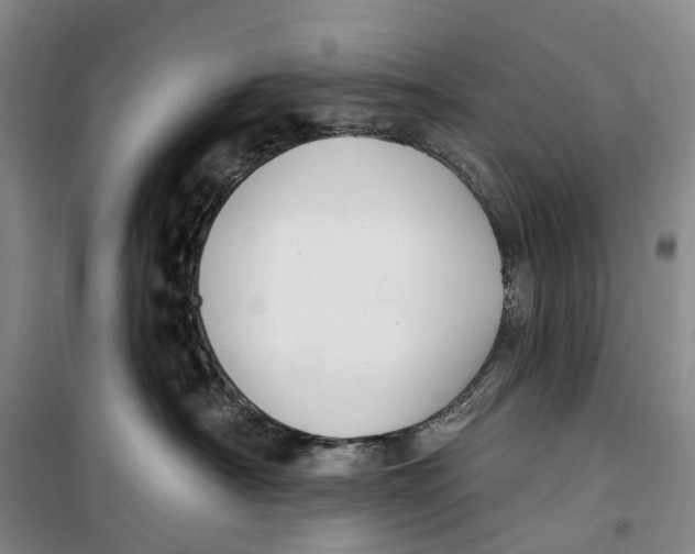 X0000099440430200805301455