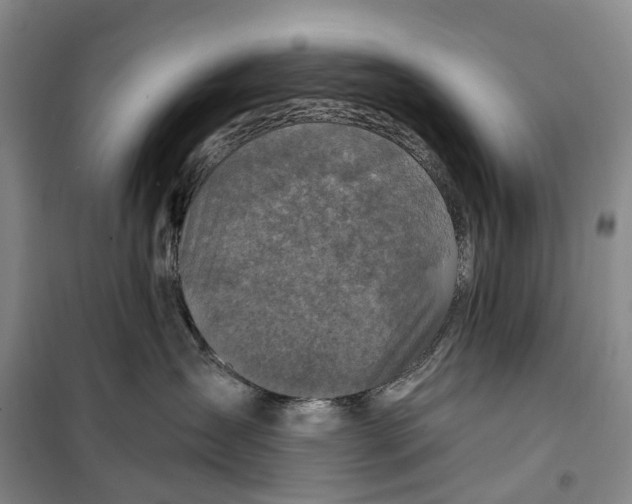 X0000099440431200805301455