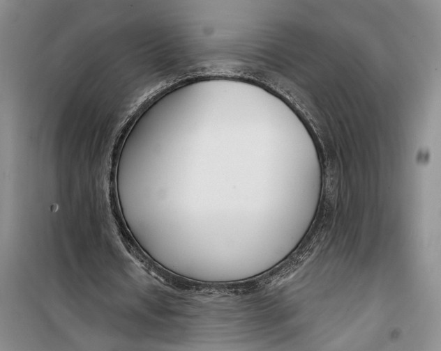 X0000099440434200805301454