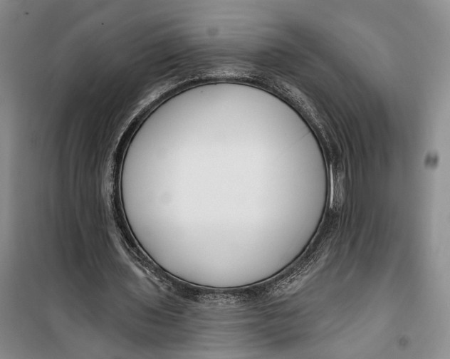 X0000099440435200805301454