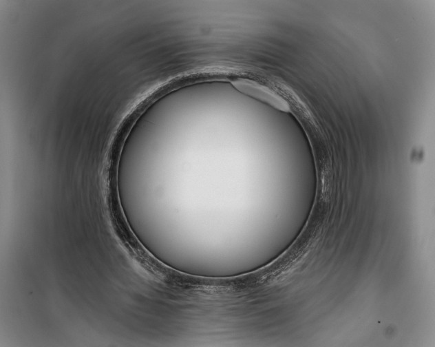 X0000099440436200805301454