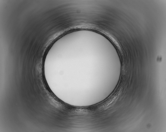 X0000099440437200805301454