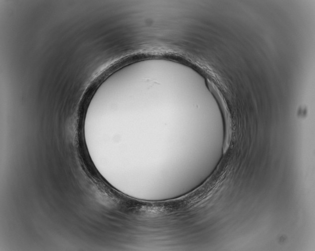 X0000099440440200805301454