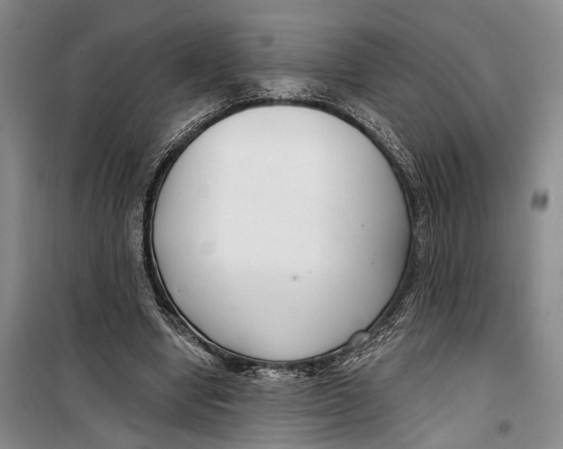 X0000099440442200805301454