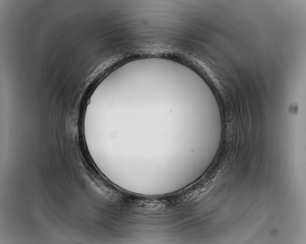 X0000099440443200805301454