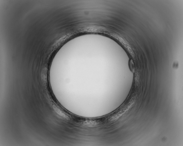 X0000099440445200805301454