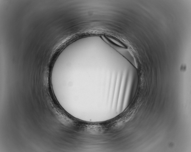 X0000099440446200805301454