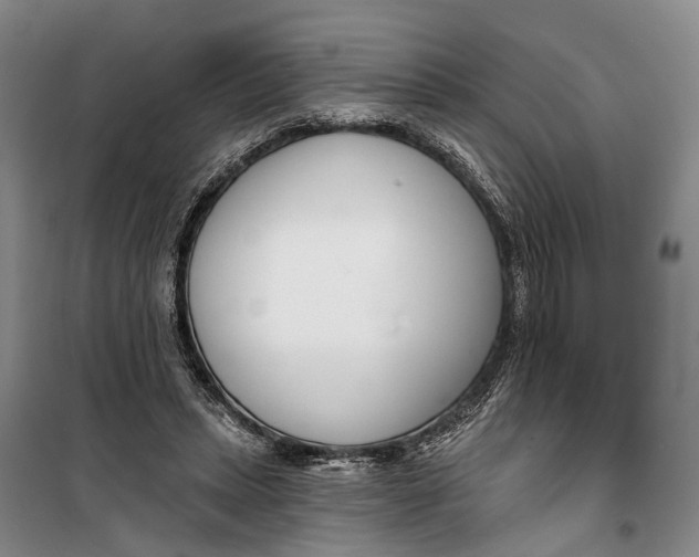 X0000099440447200805301454