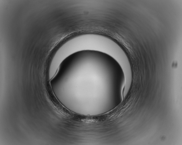 X0000099440448200805301454