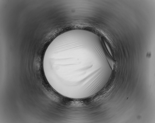 X0000099440451200805301454