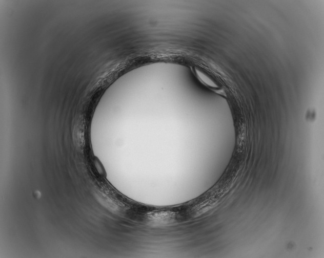 X0000099440452200805301454