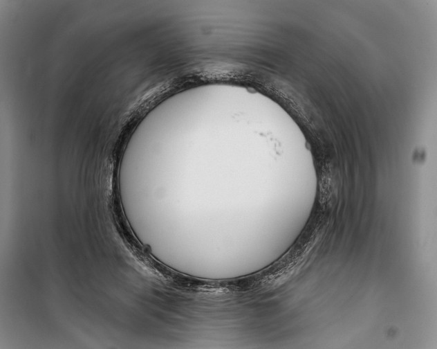 X0000099440454200805301454