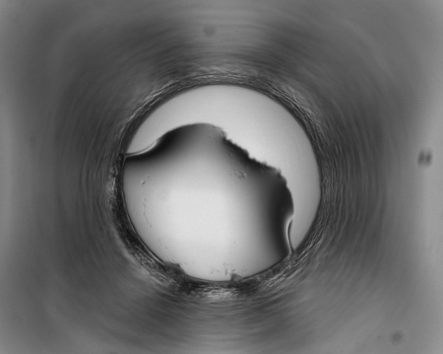 X0000099440456200805301454