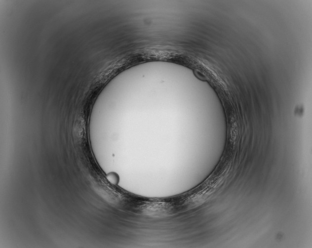 X0000099440459200805301454