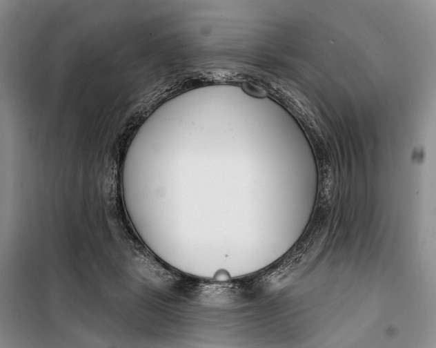 X0000099440461200805301454