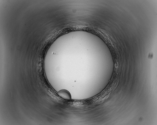 X0000099440462200805301454